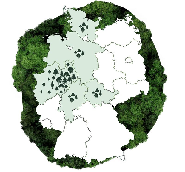 Deutschlandkarte vor Waldhintergrund. Farblich hervorgehoben sind NRW, Hessen, Thüringen, Niedersachsen und Schleswig-Holstein
