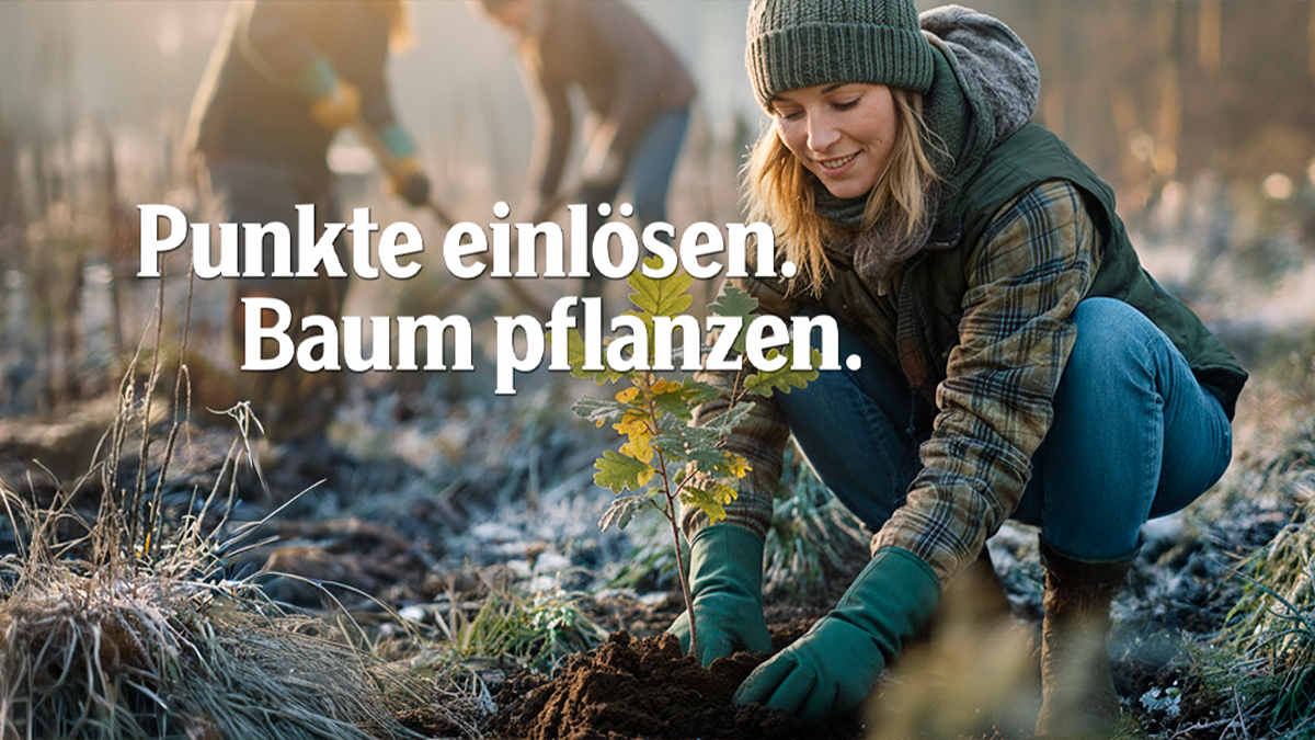 Registriere dich jetzt beim Krombacher+ Bonusprogramm und tue Gutes für die Natur.