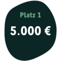platz eins - 5.000 euro