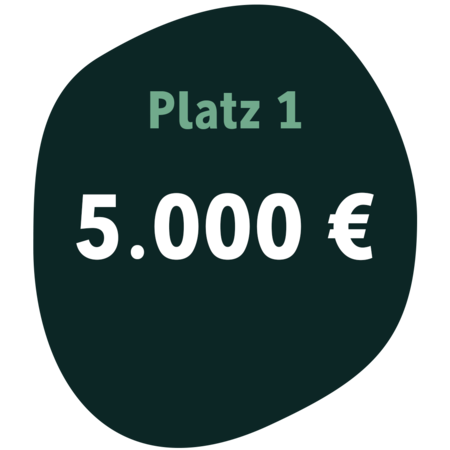 platz eins - 5.000 euro