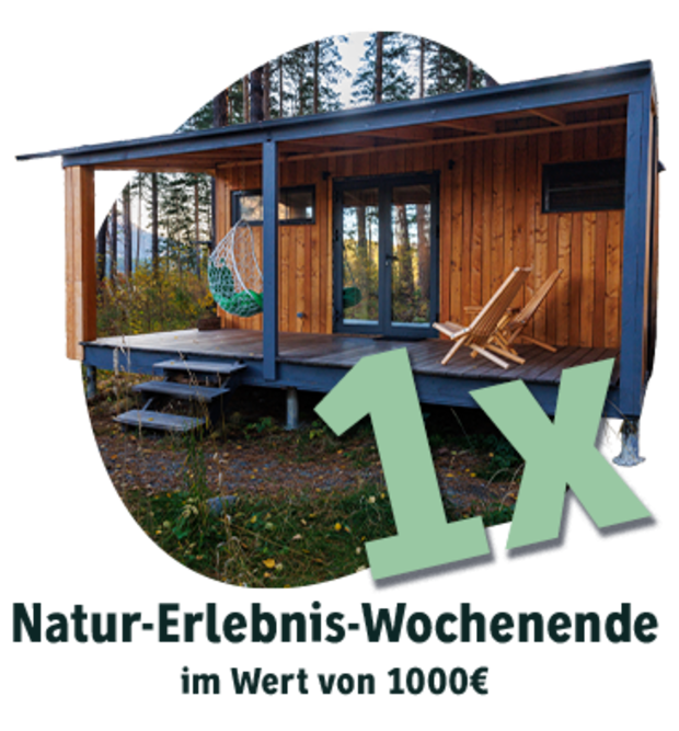 Eine Hütte in der Natur umgeben von Bäumen.