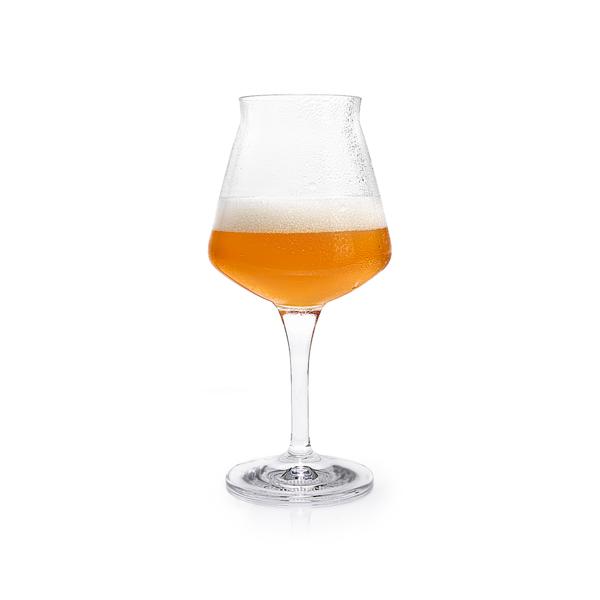 Krombacher Sommelierglas gefüllt Bier vor weißem Hintergrund.