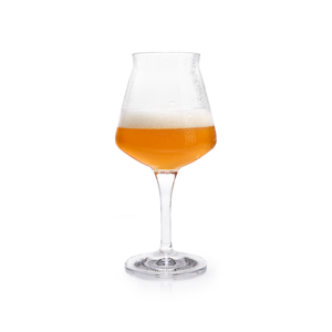 Krombacher Sommelierglas gefüllt Bier vor weißem Hintergrund.